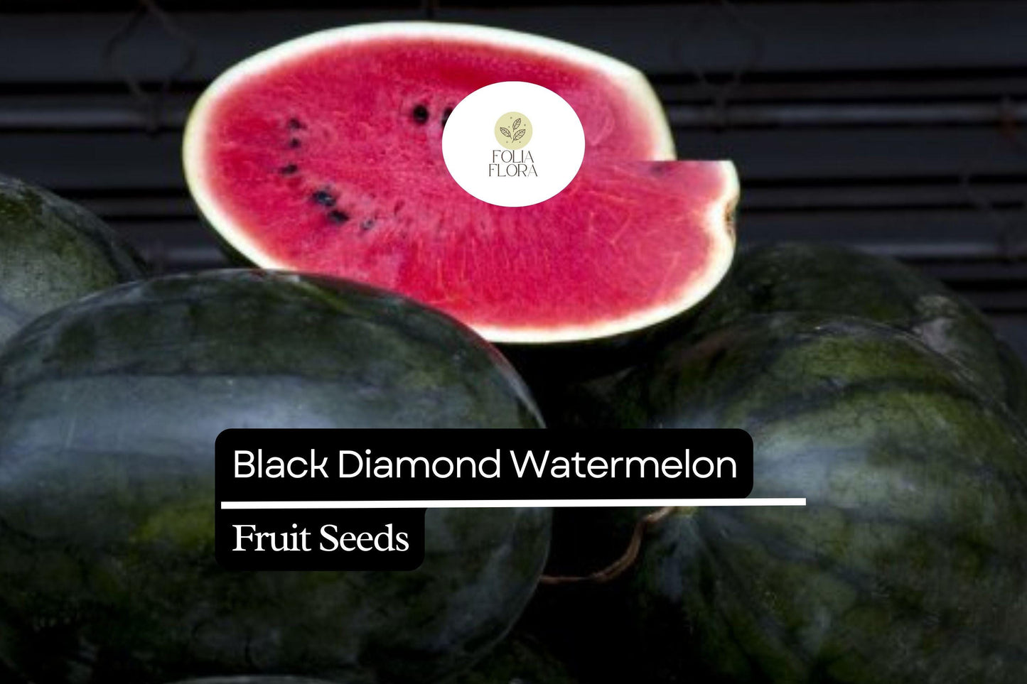 10 Seeds Black Diamond Watermelon (Citrullus lanatus) – Sweet, Large, and Juicy Melons