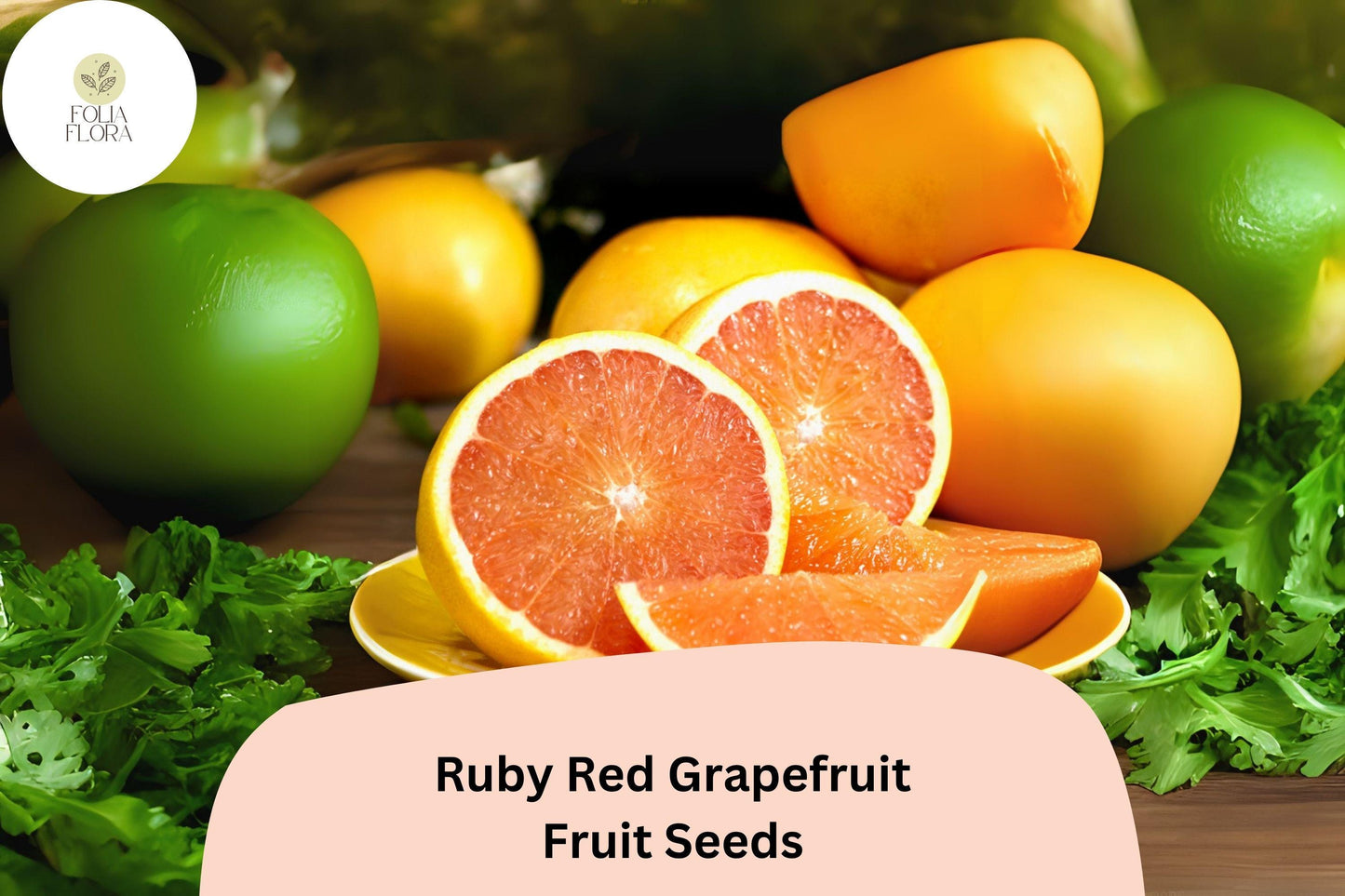 Ruby Red Grapefruit Seeds – 15 Citrus paradisi | Pink Grapefruit Tree Seeds