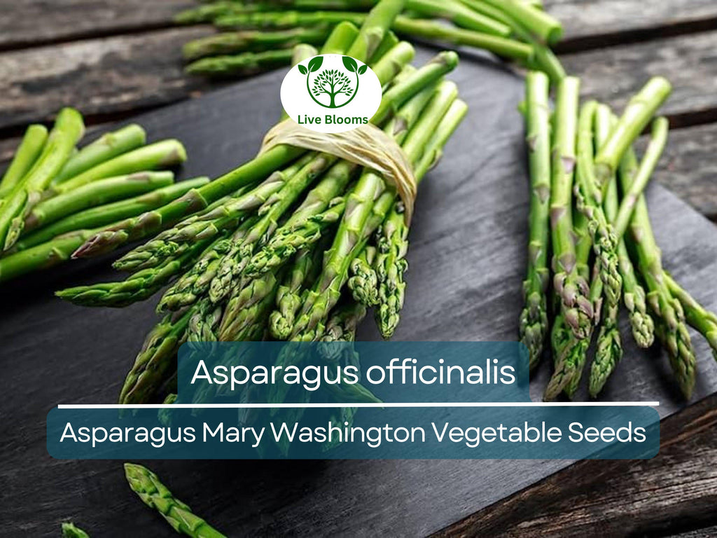 40 Seeds Asparagus Mary Washington - Asparagus officinalis | Heirloom Variety for Planting, Gardening & Delicious Harvest