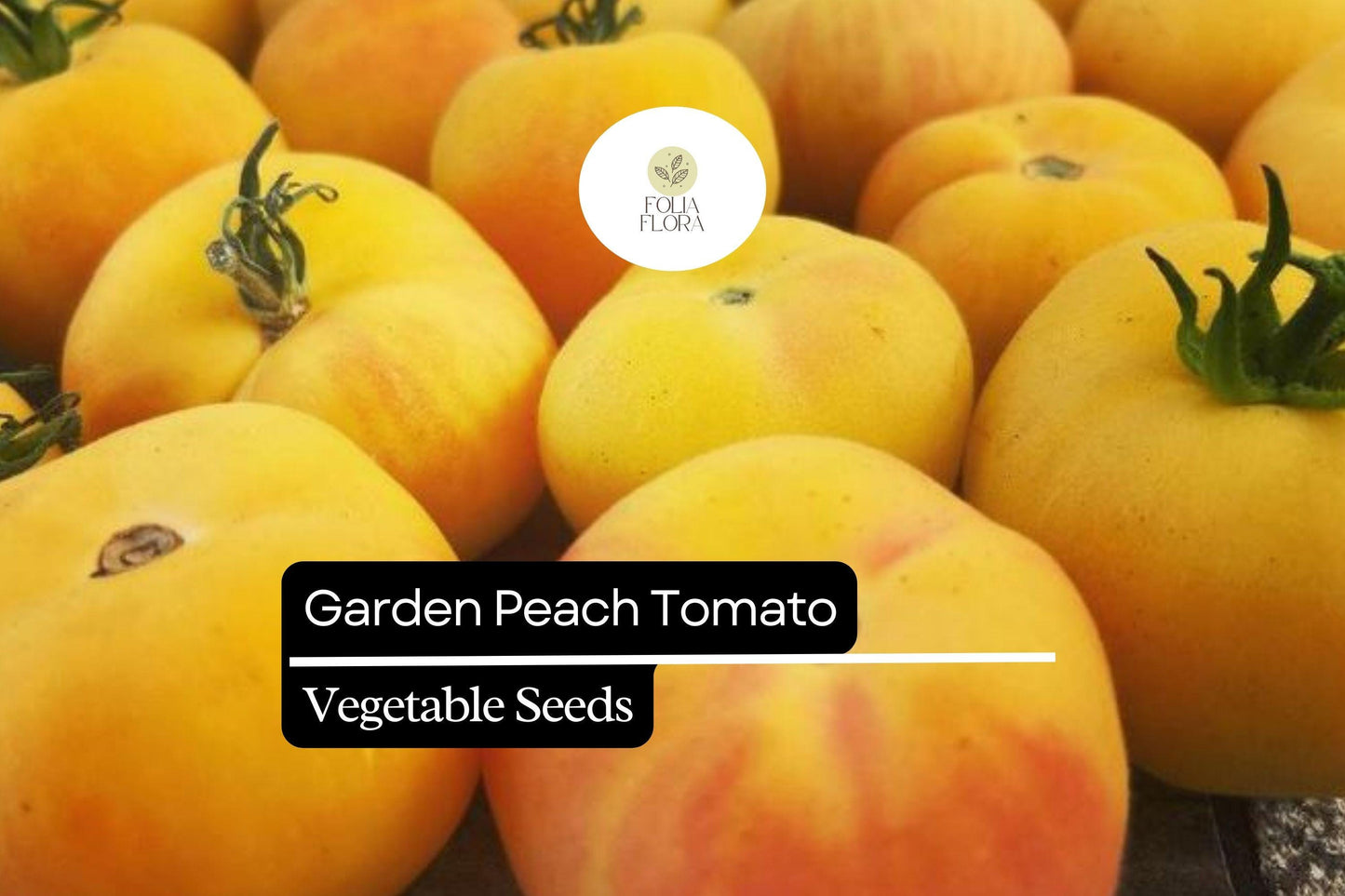 30 Garden Peach Tomato Seeds – Solanum lycopersicum – Heirloom, Sweet & Juicy, Peach-Like Skin, High-Yielding