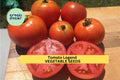 3pcs of 100g Tomato Legend Seeds – Disease Resistant, Early Yield – Juicy Determinate Tomatoes for Home Vegetable Gardens