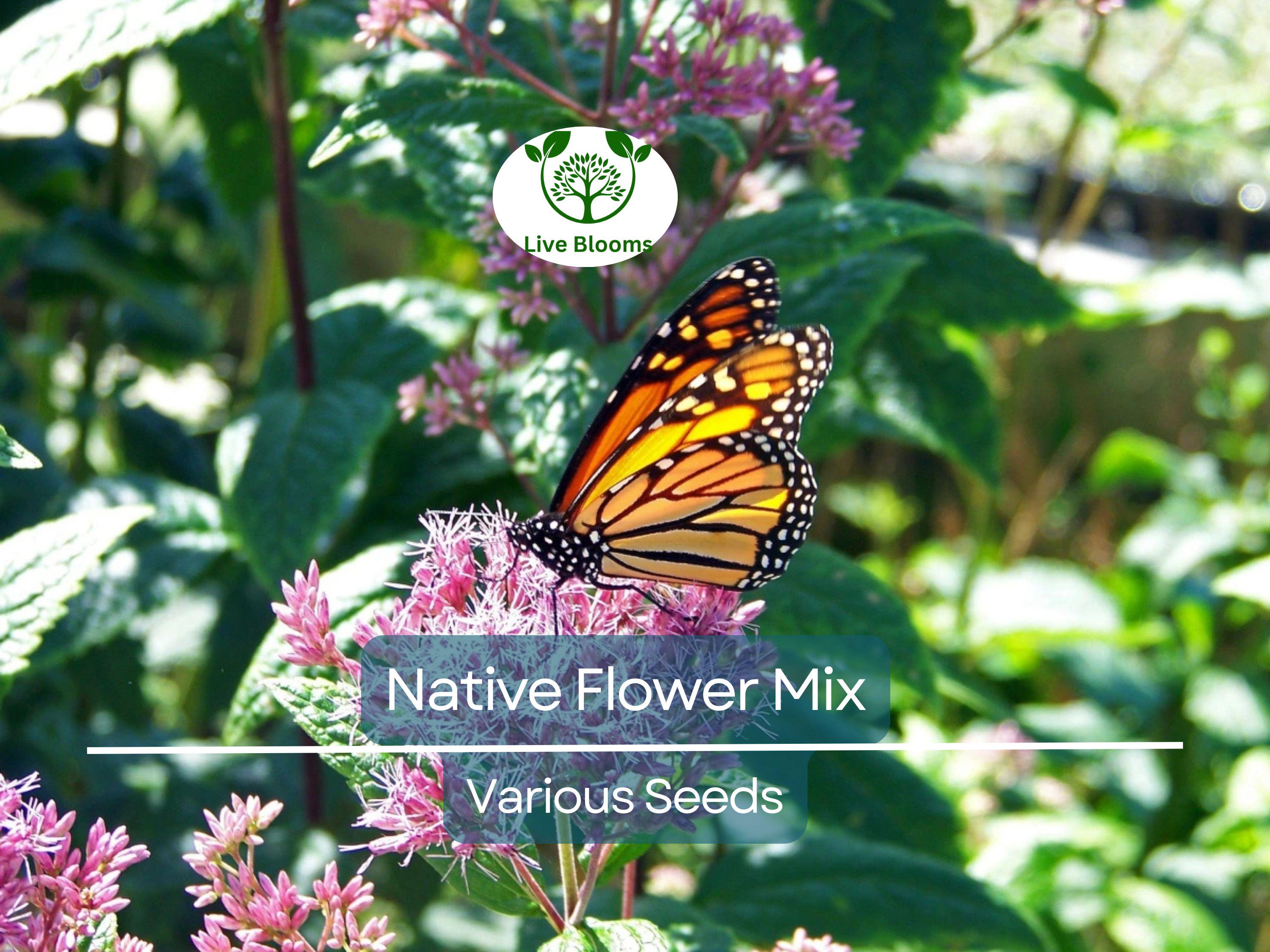 1000 Seeds Native Flower Mix for Monarchs & Milkweed Butterflies, Non-GMO, Includes Asclepias and Wildflowers