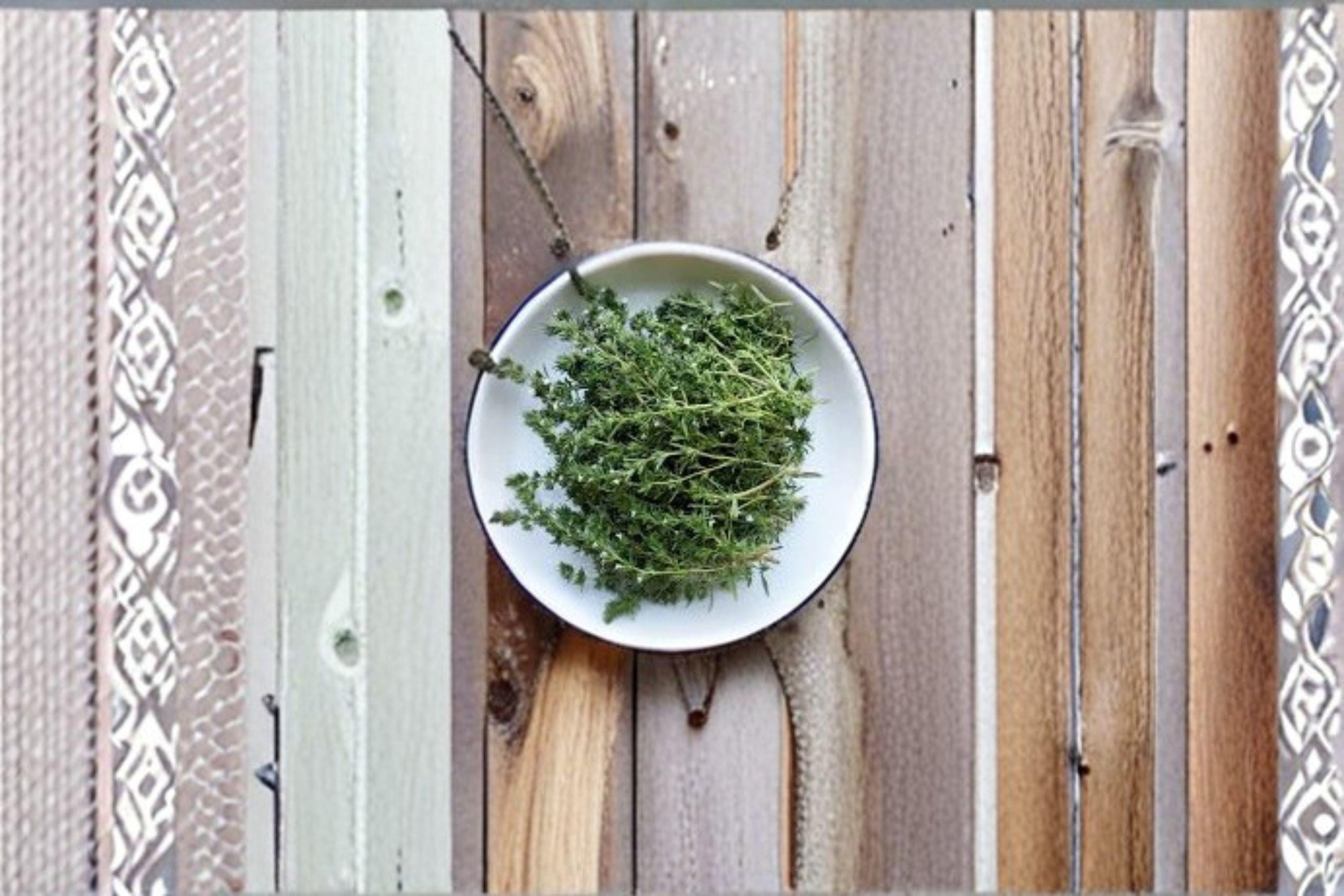 Summer Savory 500 or 1000 Seeds | Classic Culinary Herb | Peppery Flavor | Easy Annual Herb