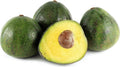 Nabal Avocado Tree - Grafted 2 to 3 Feet Tall - 3 Gallon Pot - Persea americana