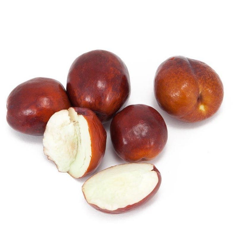 Grafted Jujube Tree 3 Gal Pot Li Variety - Large Fruit, Bigger Trunk - Z5-10 - Ziziphus jujuba 'Li'