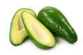 Fuerte Avocado Tree - 1 ft Grafted Plant - Ships in 6" Pot - Persea americana