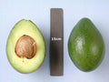 Grafted Avocado Tree - 3 Gallon Pot - Booth 8 Variety - Persea americana - Ideal for Home Gardens