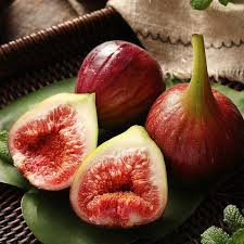 3x 'Monstrueuse' Fig Unrooted Cuttings 5-6" | Ficus carica | Large Fig Variety | Delicious Sweet Fruit, Easy Rooting for Gardeners