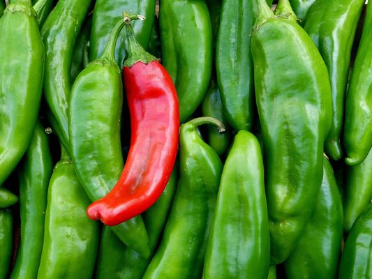 250 mg Sonora Mild Hot Pepper Seeds - Capsicum annuum | Heirloom Pepper for Planting, Gardening & Cooking | Mild Heat, Great Flavor