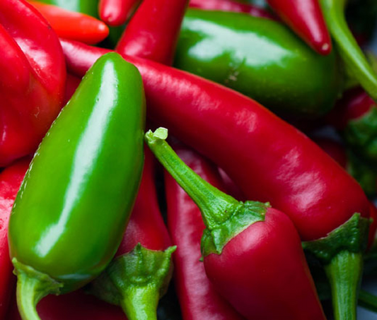 30 Seeds Jalapeno Early Hot Pepper – Capsicum annuum | Heirloom Jalapeno Seeds for Planting, Gardening & Fresh Spicy Harvests