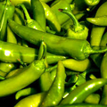 250 mg Barker Hot Pepper Seeds - Capsicum annuum | Spicy Heirloom Pepper for Planting, Perfect for Salsas, Cooking & Home Gardens