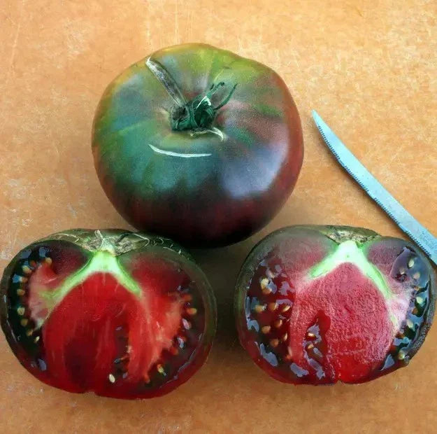 Black From Tula Tomato Seeds - 30+ Heirloom Organic Non-GMO - Rare Heirloom Variety - Perfect for Home Gardening
