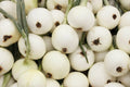 Onion Seeds 200+ White Spanish Non-GMO Sweet Mild Vegetable Garden Seeds Allium cepa