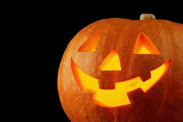 Jack O' Lantern Pumpkin Seeds for Planting | 20+ Seeds | Cucurbita pepo | Grow Your Own Pumpkins