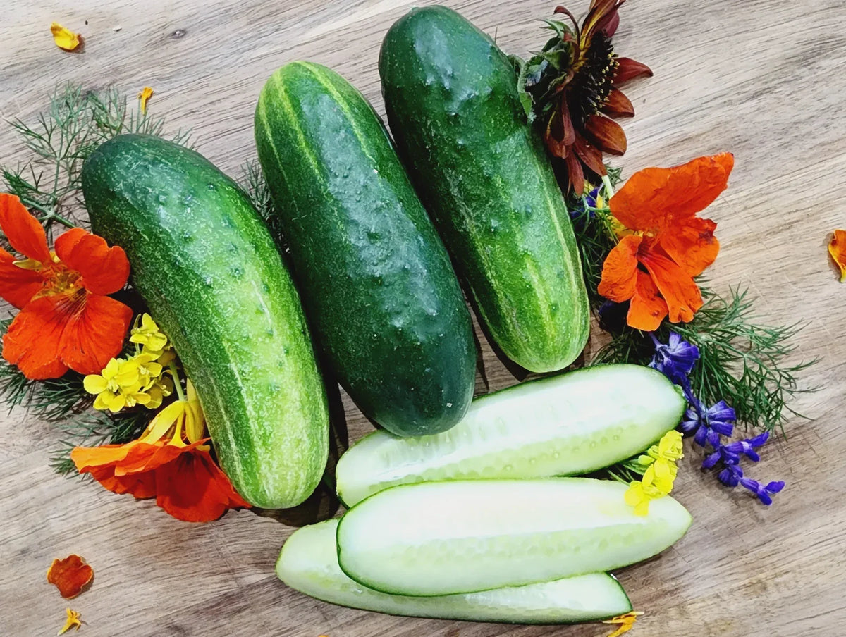 Wisconsin SMR-58 Cucumber Seeds - 200+ Heirloom Organic Non-GMO Pickling Seeds - Perfect for Gardening
