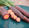 Purple Dragon Carrot Seeds - 200+ Heirloom Organic Non-GMO - Rare Vegetable Seeds - Daucus carota