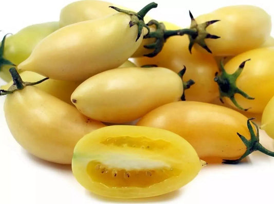 Cream Sausage Tomato Seeds - 120+ Heirloom Organic Non-GMO - Rare Variety - Perfect for Home Gardening