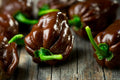 Chocolate Habanero Seeds - 40 Pack - Spicy Pepper Variety - Capsicum chinense - Free US Shipping