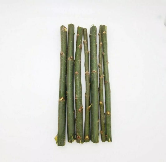Austree Hybrid Willow Tree Cuttings - 20 Fast Growing, Aussie Variety for Direct Planting - Salix x sepulcralis