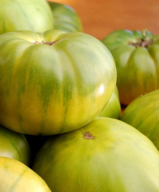 Aunt Ruby's German Green Tomato Seeds, 30 Seeds, Non-GMO, Heirloom Variety, Solanum lycopersicum