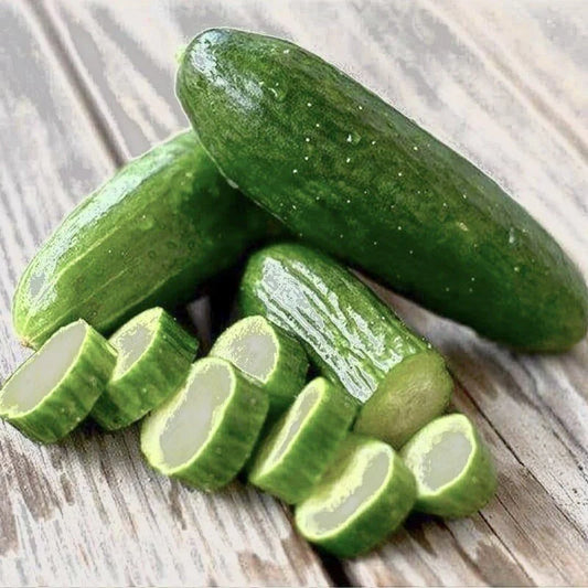 Beit Alpha Cucumber Seeds - 30+ Persian Lebanese Vegetable Seeds - High Yield, Disease Resistant - Cucumis sativus