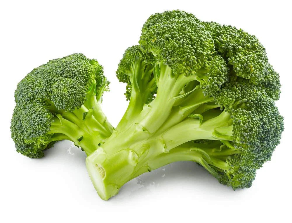 Broccoli Seeds 250 Count | Non-GMO Fresh Garden Seeds | Brassica oleracea | Made in USA, Ships from Iowa