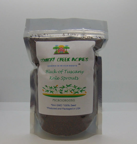 Black of Tuscany Kale Seeds - Heirloom Italian Variety - Brassica oleracea var. sabellica