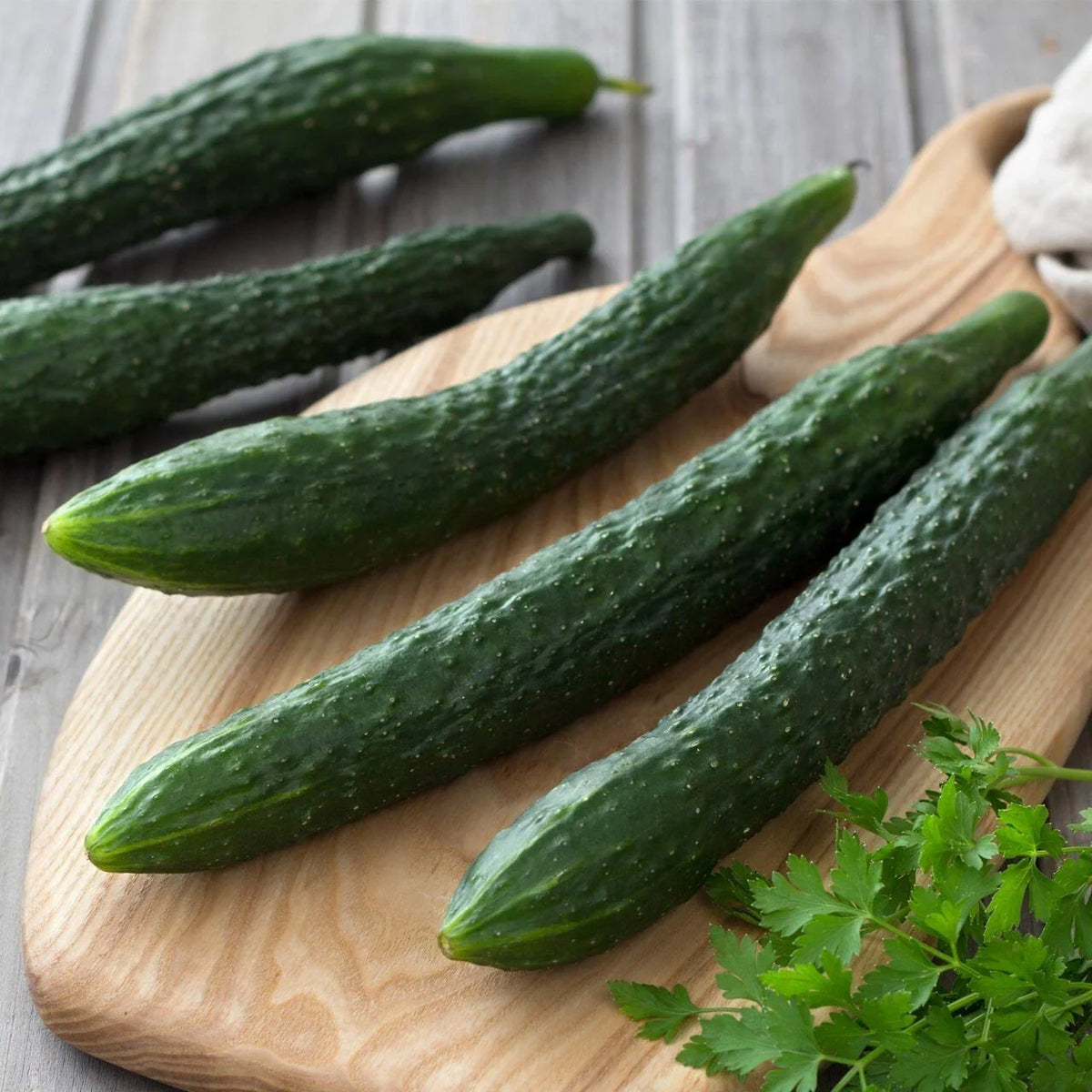 50+ Suyo Long Cucumber Seeds - Heirloom Organic Non-GMO - Cucumis sativus - Rare Variety