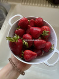 Strawberry Seeds - 100 Organic Non-GMO Sweet Berry Seeds - Homegrown Edible Garden - Fragaria × ananassa
