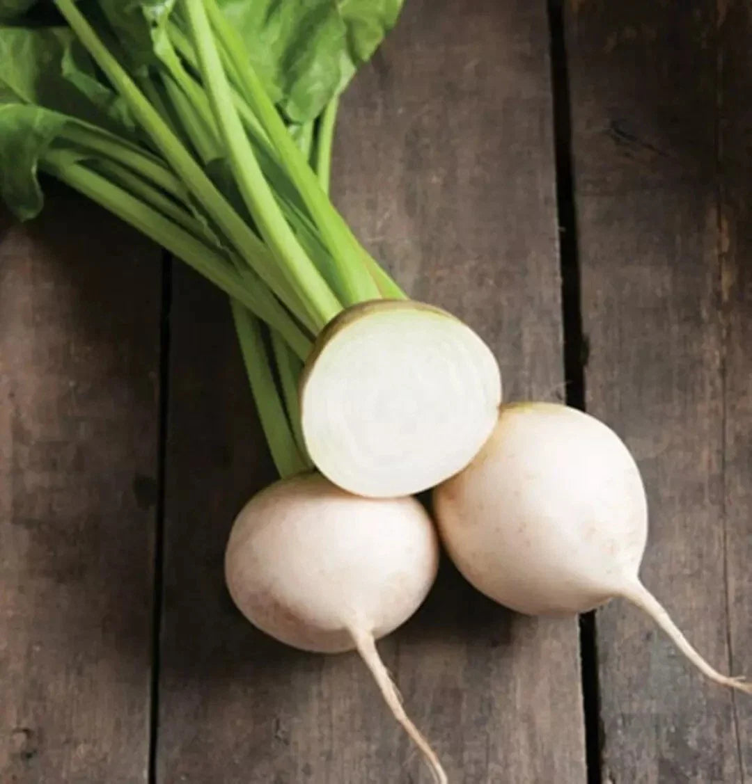 White Albino Beet Seeds - 1000+ Heirloom Organic NON-GMO - Fresh Vegetable Seeds for Home Gardening (Beta vulgaris)