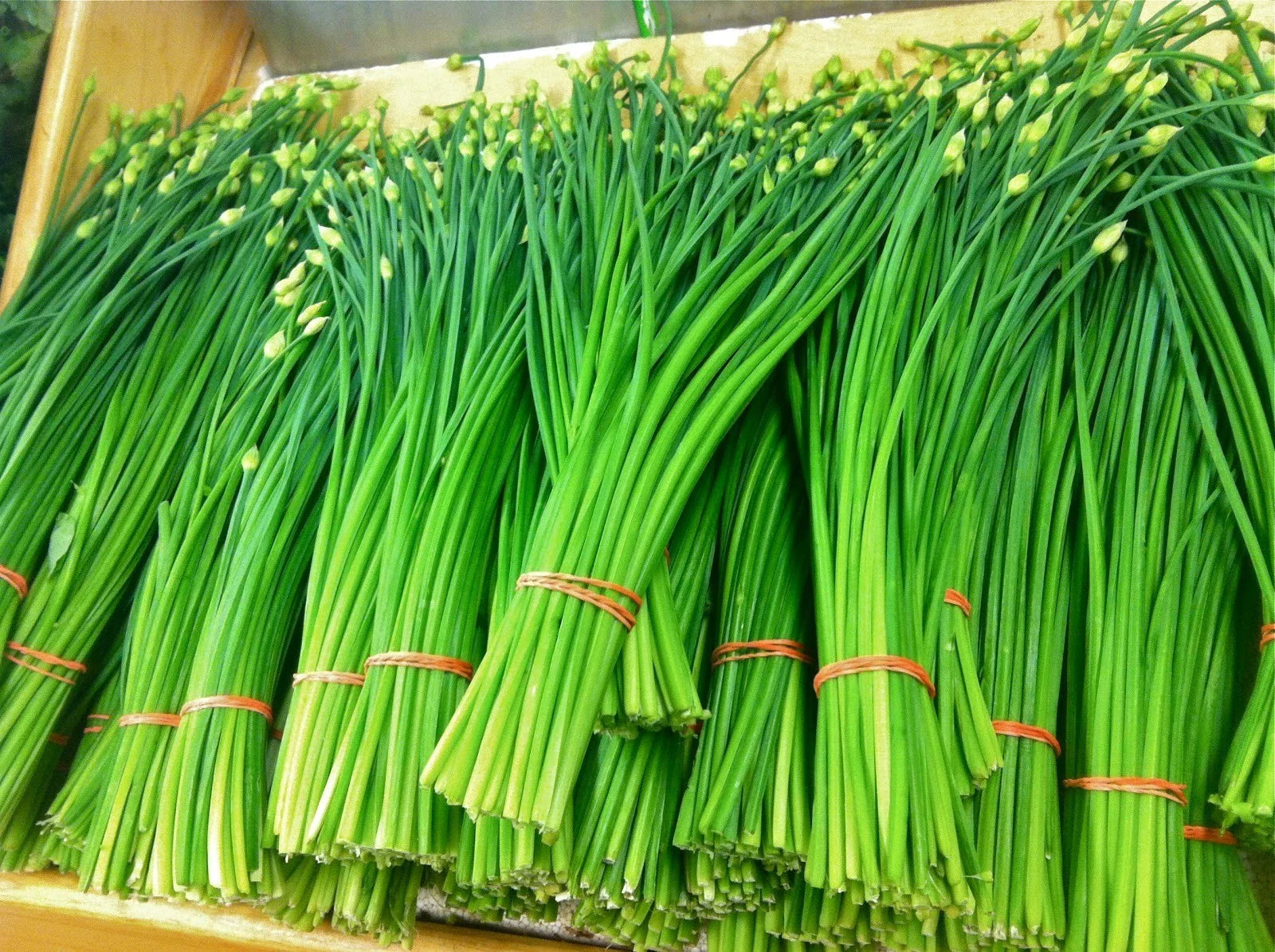 Organic Garlic Chives Seeds - 200+ Heirloom NON-GMO Perennial - Fresh Culinary Herb Seeds (Allium tuberosum)