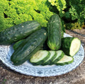 Double Yield Cucumber Seeds - 50+ Heirloom Organic NON-GMO - Cucumis sativus - Fresh Gardening Seeds