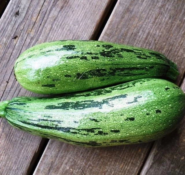 Caserta Squash Seeds 10 Pack - Heirloom Vegetable Seeds for Planting (Cucurbita pepo)
