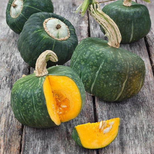 Burgess Buttercup Squash Seeds - 20+ Count - Heirloom Vegetable Seeds for 2025 Planting - Cucurbita maxima