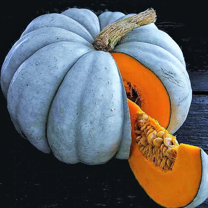 Jarrahdale Blue Pumpkin Seeds - Winter Squash Seeds for 2025 Planting - Cucurbita maxima 'Jarrahdale'