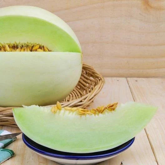 Green Flesh Honeydew Melon Seeds - Non-GMO, 100 Count - Sweet Melon Variety, Free Shipping