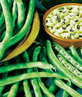 California Black Eye Peas Seeds - Heirloom, Non-GMO, 100 Seeds - Perfect for Gardening and Planting (Vigna unguiculata)