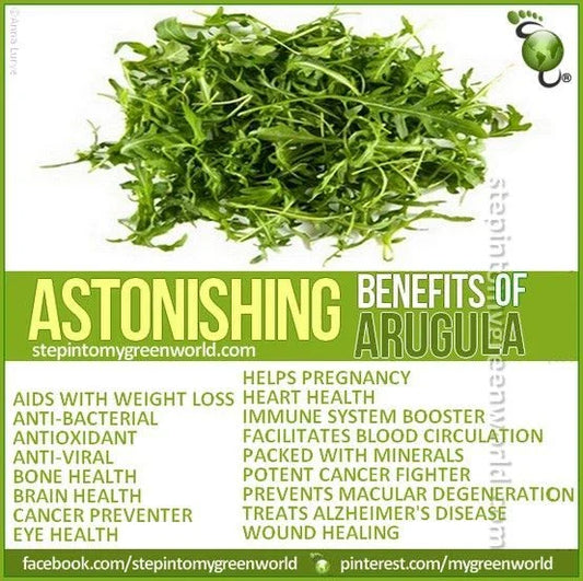 Arugula Seeds - 1500 Non-GMO Organic Open Pollinated - Eruca sativa