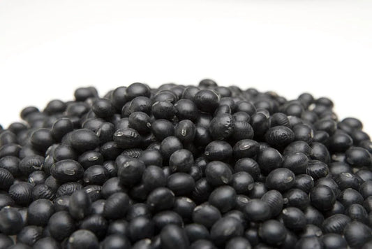 Black Soybean Seeds for Planting - 1 lb - Non-GMO, Organic, Glycine max