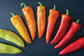 Hungarian Hot Wax Pepper Seeds (30 Seeds) - Capsicum annuum - Heirloom, Spicy, Home Gardening, Vegetable Seeds