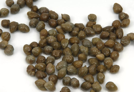 Caper Bush Seeds - 25+ Seeds - Capparis Spinosa - Edible Plant for Garden and Culinary Use