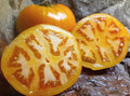 Golden Jubilee Tomato Seeds - 30+ Heirloom Organic Non-GMO Seeds - Perfect for Home Gardening - Solanum lycopersicum