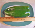 Big Bertha Sweet Pepper Seeds - 100+ Non-GMO Heirloom Seeds - Fresh Organic Gardening - Capsicum annuum