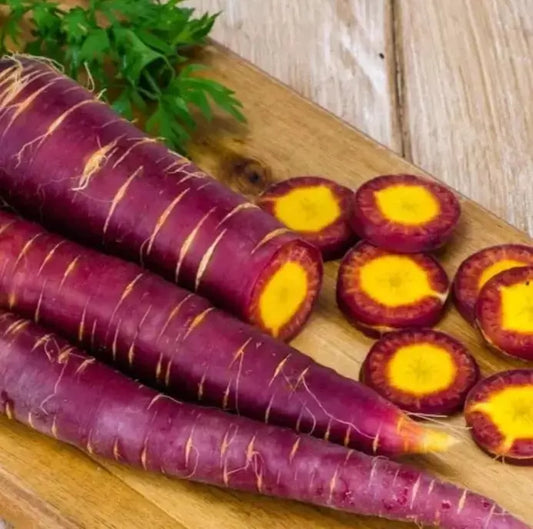 Cosmic Purple Carrot Seeds - 200+ Heirloom Organic NON-GMO - Rare Vegetable Seeds for Planting (Daucus carota)