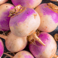 Rutabaga Seeds 300+ Non-GMO Vegetable Brassica Napus - Laurentian Variety - USA Grown, Free Shipping