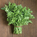 500 Shungiku Seeds - Edible Chrysanthemum Asian Greens - Choy Suy-Tongho - Perfect for Culinary Gardens