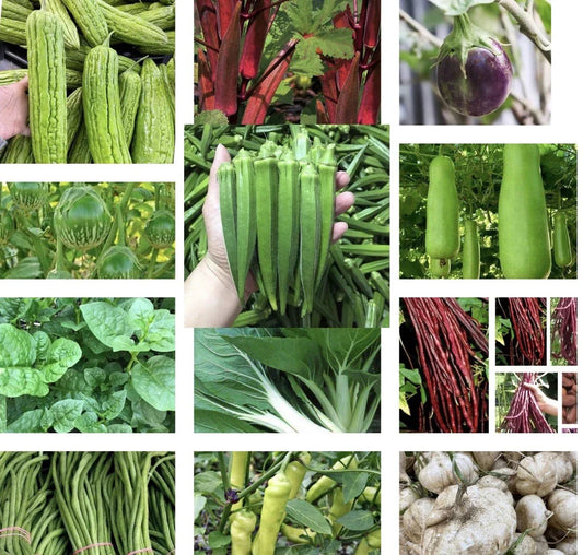Asian Vegetable Seeds Set of 20 for Planting - Heirloom Variety, Non-GMO, Organic Gardening Supplies
