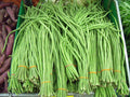 Dark Green Yard Long Bean Seeds - 120 Heirloom Organic Seeds - Fresh Vegetable Garden Plant - Vigna unguiculata