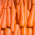 Brilliance Carrot Seeds | Heirloom NON-GMO Vegetable Seeds | Daucus carota