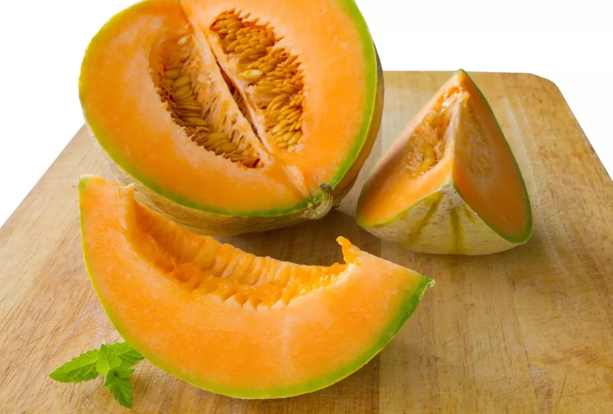 Hales Best Jumbo Cantaloupe Seeds - 100+ Heirloom Organic Non-GMO Seeds - Sweet Melon Variety - Cucumis melo